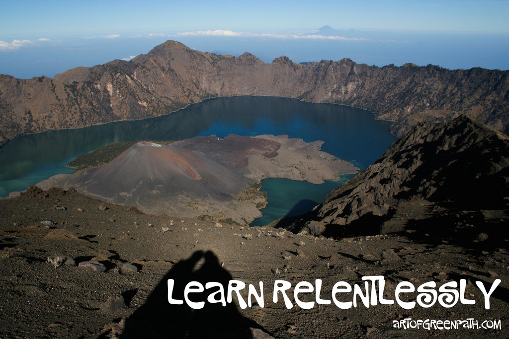 Art Of Green Path - LEARN RELENTLESSLY