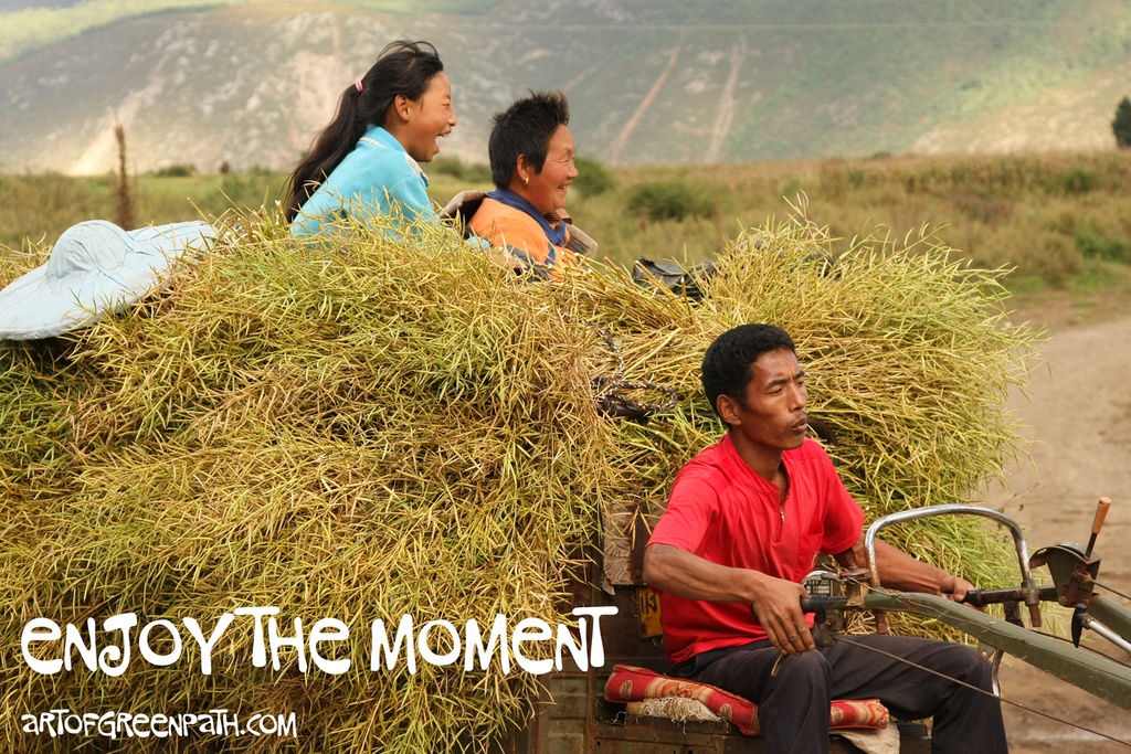 Art Of Green Path - ENJOY THE MOMENT