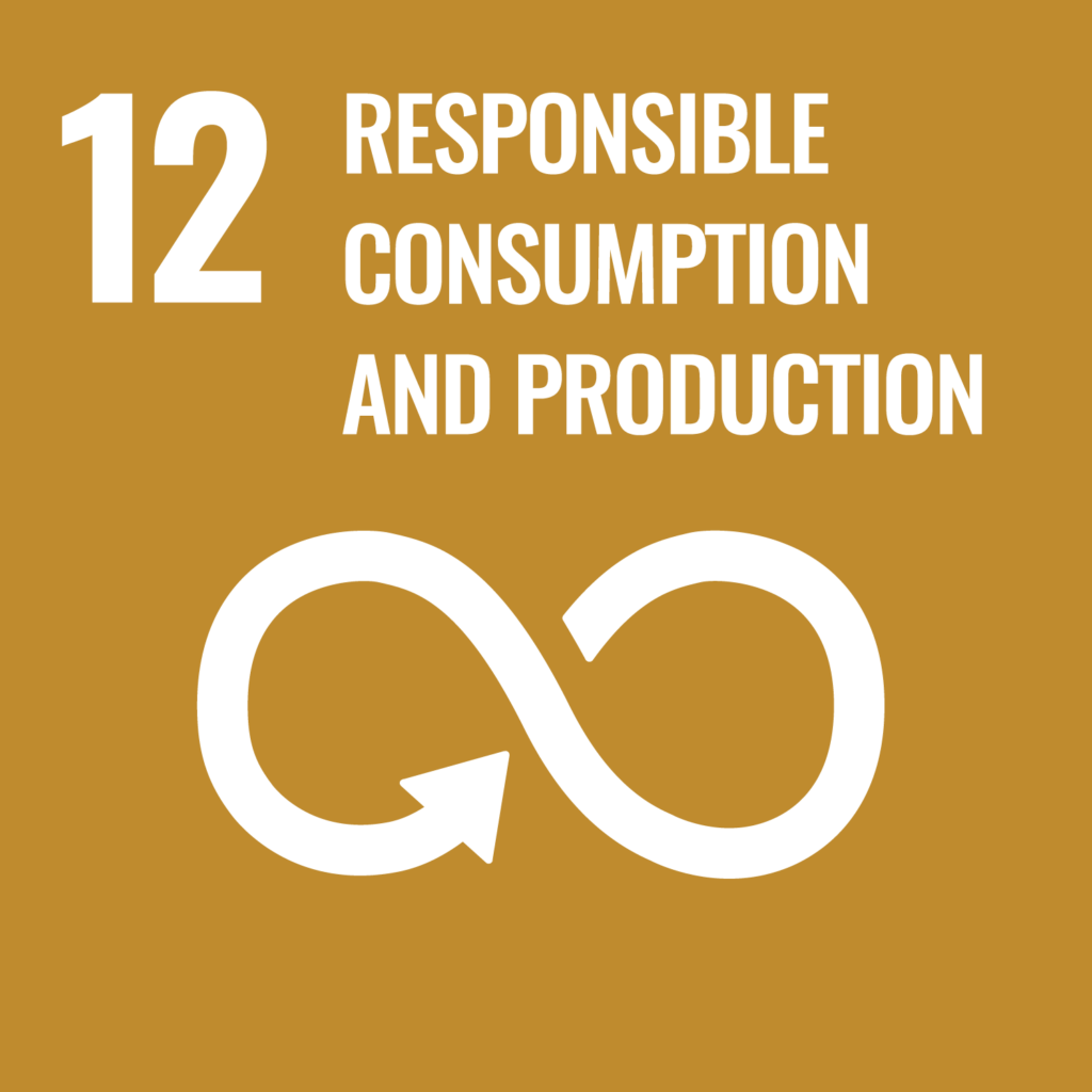 SDG Goal 12 - Ensure sustainable consumption and production patterns