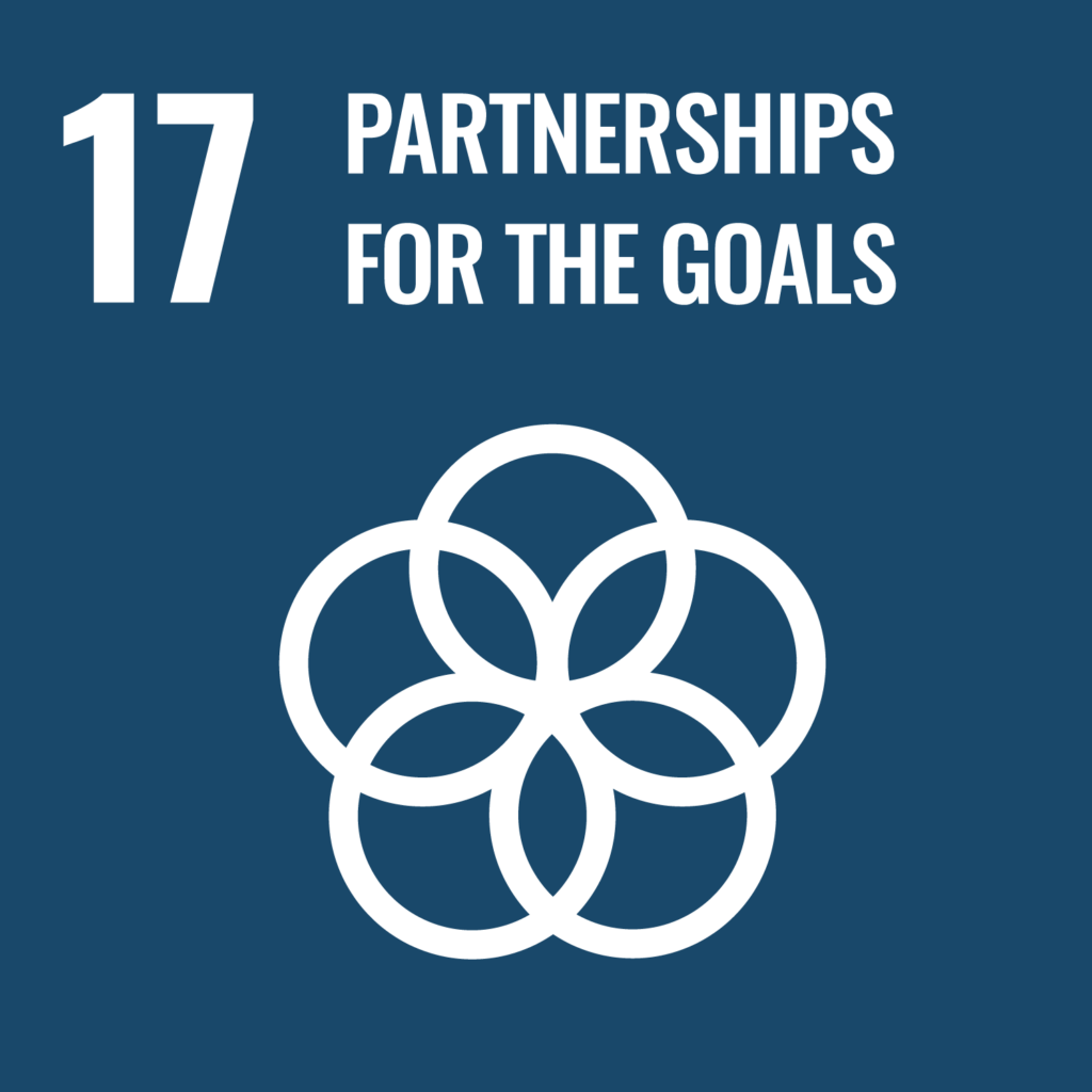 SDG Goal 17 -  Strengthen the means of implementation and revitalize the Global Partnership for Sustainable Development